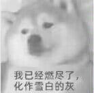 meiya