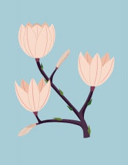 test-b2b-004-01