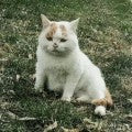 test1234567