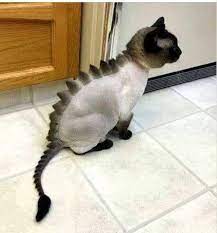 看同步库存的其他人不要用啊